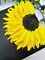Texture Art | Sunflower | Impasto Painting for Beg